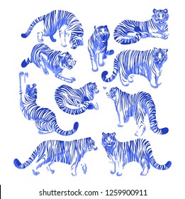 Graphic collection of tigers in different poses. Vector exotic design elements isolated on white background