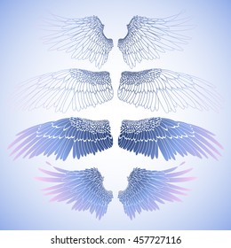Graphic collection of wings. Vector art in blue. Coloring book page design for adults and kids