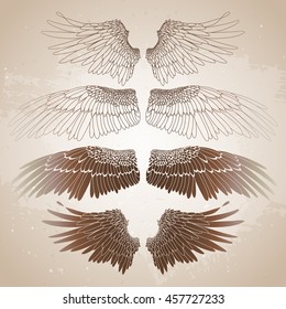 Graphic collection of wings. Vector art in btawn colors. 