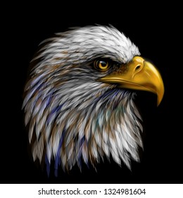 
Graphic, color portrait of a  eagle on a black background.