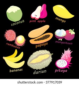 Graphic color set of exotic fruits on a dark background. Vector illustration.
