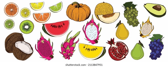 Graphic colored fruits in vector