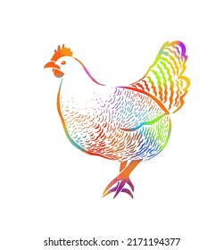 Graphic colorful chicken object. Vector illustration. Grunge label, sticker for the farms and manufacturing depicting roster. Grunge label for the chicken product. Farm painting. Cockerel.