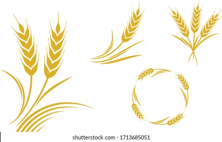 Graphic composition of wheat branch in vector