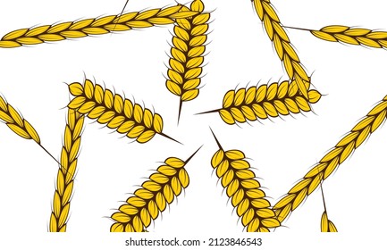 Graphic composition of wheat branch in vector
