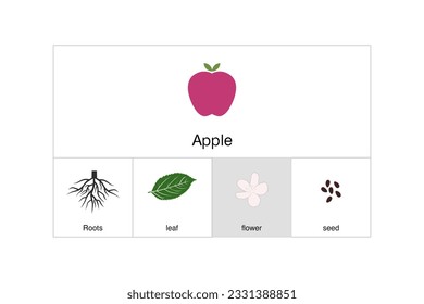 Graphic consists of apple Elements. Unique and elegant.