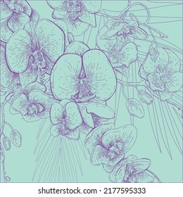 Contexto gráfico de orquídeas elegantes. Imagen vectorial para invitaciones, esfera de belleza, textiles