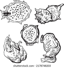 Graphic contour monochrome dragon fruits, their pieces. Vector image for scrapbooking, packaging, wallpaper