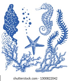 Graphic coral reef with sea horse, sea star, starfish, seaweed, corals, under sea theme, set of elements for marine design, sea collection, hand drawn illustration on white background