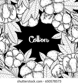 Graphic cotton plants. Vector card isolated on black background. Coloring book page design for adults and kids