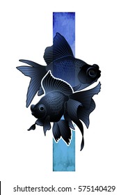 Graphic couple of telescope fish drawn with blue abstract stripe on background. Vector freshwater isolated creature. T-shirt print or tattoo design