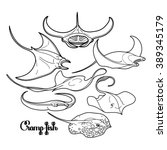 Graphic cramp fish collection. Vector electric Manta ray isolated on white. Sea and ocean creatures. Coloring book page design for adults and kids