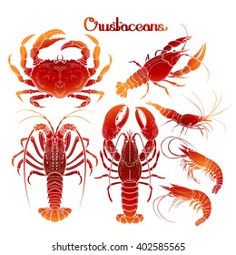 Graphic crustaceans collection  for seafood menu. Sea and ocean creatures isolated on white background. Coloring book page design