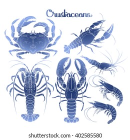 Graphic crustaceans collection  for seafood menu. Sea and ocean creatures isolated on white background. Coloring book page design