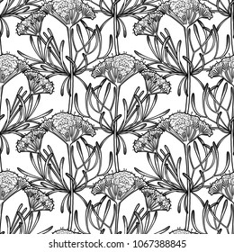 Graphic cumin seamless pattern. Vector natural spices. Coloring book page for adults and kids