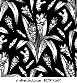 Graphic curcuma seamless pattern. Vector natural spices. Coloring book page for adults and kids