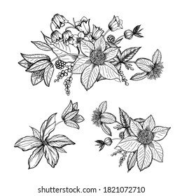 Decoración gráfica con flor estilizada. Ilustración vectorial. Gráficos manuales.