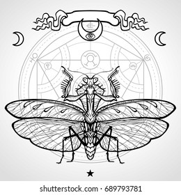 Graphic decorative image of the Mantis. Alchemical circle of transformations. Esoteric, Mysticism, Sorcery.  Vector illustration.