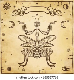 Graphic decorative image of the Mantis. Esoteric, Mysticism, Sorcery. Background - imitation of old paper. Vector illustration.