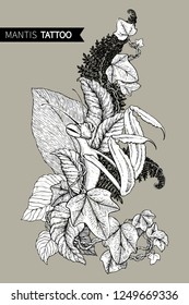 Graphic decorative image of the Mantis. The linear drawing isolated on a brown background. Vector illustration. Can use for tattoo. Mantis surrounded by fern and ivy