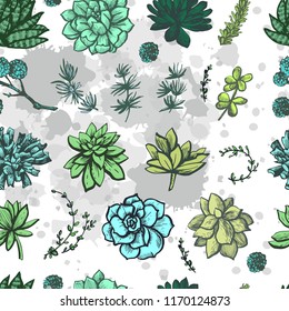 Graphic decorative pattern of colored succulents 