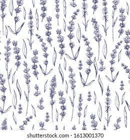 Graphic decorative seamless with lavender. Vector illustration. Manual graphics.  