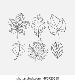 graphic decorative set of leaf icons