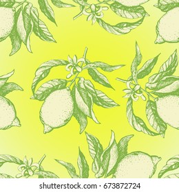 Graphic decorative vintage seamless with lemons. Hand drawing. Seamless for fabric design, gift wrapping paper and printing and web projects.
