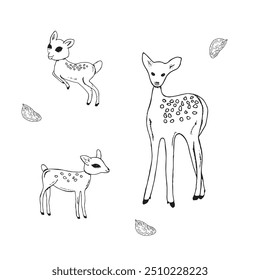 Graphic deer. Hand draws graphic illustrations on a white background. Graphic deer for design