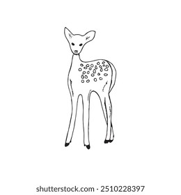 Graphic deer. Hand draws graphic illustrations on a white background. Graphic deer for design