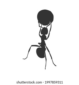 graphic design ant design great vector with ball