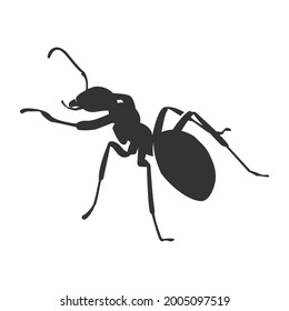 graphic design ant vector with animal brand