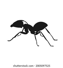 diseño gráfico vectores de hormigas con marca animal