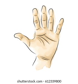graphic design editable for your design, hand drawn hands (palms) isolated on white background. Vector Illustration.