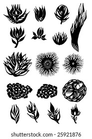 graphic design elements. illustration vector