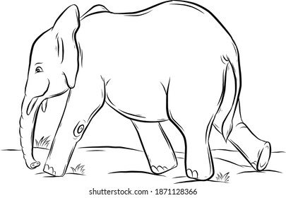 Graphic design of an elephant. The image of an elephant on a white background. Abstract drawing as the outline of the animal, vector