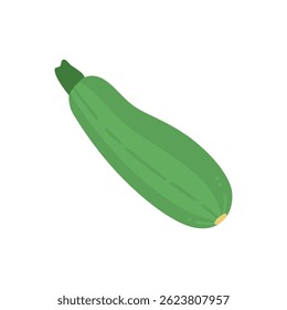 A graphic design emphasizing zucchinis for adding colors to meals.