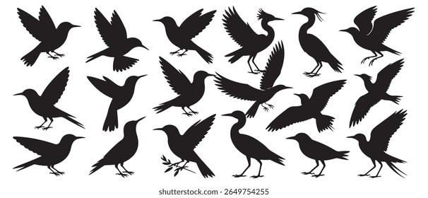 A graphic design featuring a variety of black bird silhouettes in different poses, including flying and perching. This collection showcases the distinctive silhouette style on a clean white background