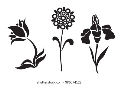 graphic design of flowers, vector illustration