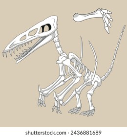 GRAPHIC DESIGN JURASSIC DINOSAUR BONES