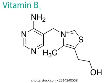 A graphic design on a white background illustrating the structure of vitamin B1