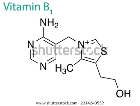 A graphic design on a white background illustrating the structure of vitamin B1