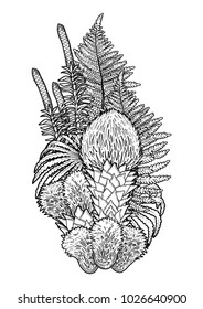 Graphic design with prehistoric plants drawn in engraving technique. Coloring book page design
