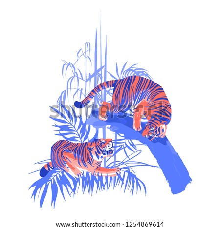 Graphic design with two agressive fighting tigers surrounded by exotic plants. Vector illustration isolated on white background