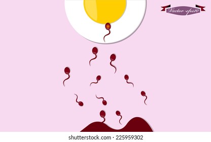 graphic design vector concept of sperm find and reach an egg
