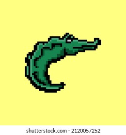 Graphic design vector illustration animal of crocodile pixel art simple design abstract isolated background