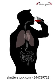 graphic design vector of seeing through inside human body during drinking wine