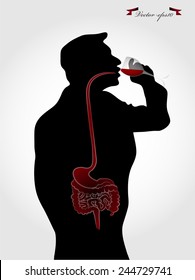 graphic design vector of seeing through inside human body while drinking wine