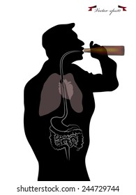 graphic design vector of seeing through inside human body while drinking beer