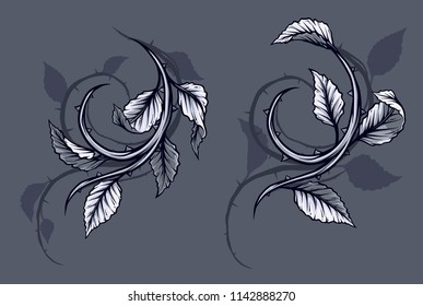 Graphic detailed black and white rose branch, stem with leaves, thorns and shadows. Isolated on gray background. Vector icon set.